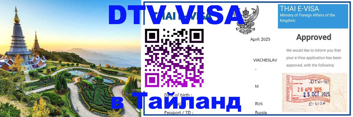 Сколько стоит DTV виза — актуальные цены, оформление даже без документов - 18.11.2025 